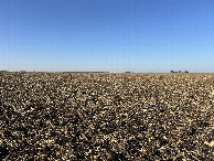 #2: A view to the north from the confluence, toward various farmsteads