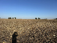 #3: A view to the east from the confluence, toward CR-2500E
