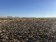 #4: A view to the south from the confluence, toward CR-800N
