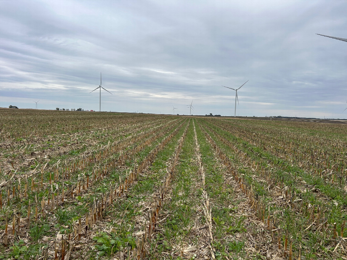 A view to the east from the confluence, toward Janvrin Rd and turbine F-8.
