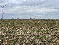 #2: A view to the north from the confluence, toward School Rd.