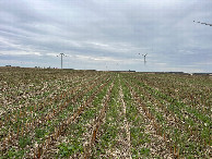 #3: A view to the east from the confluence, toward Janvrin Rd and turbine F-8.