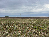 #4: A view to the south from the confluence, toward the occupied turbine (one can blurrily see the parked truck).