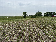 #2: A view to the north from the confluence site. 