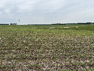 #5: A view to the west from the confluence point. 
