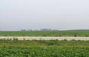 #4: Soy beans on both sides of the road to the south.