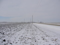 #2: West: field and road