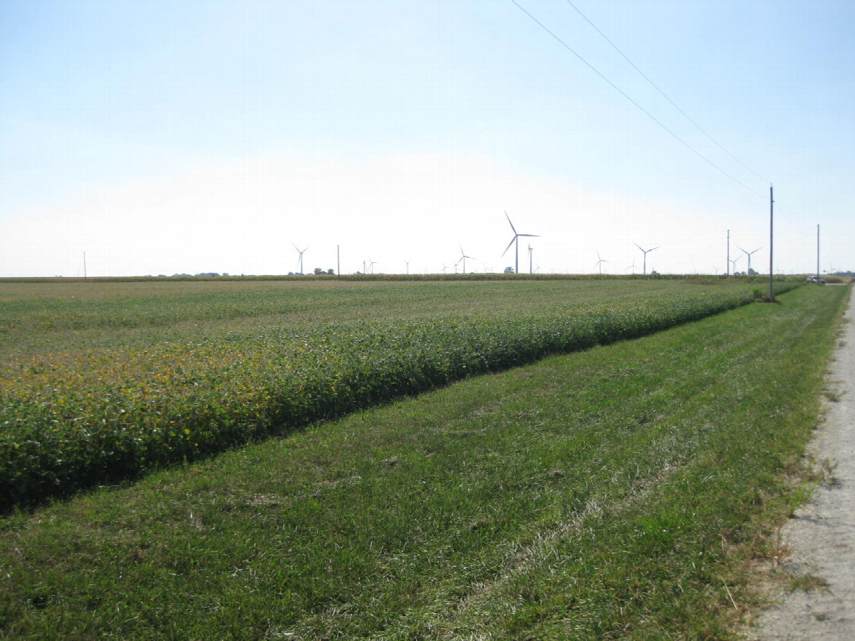 View from the road WSW to the confluence, which lies 10 meters into the soy in the middle of the photo