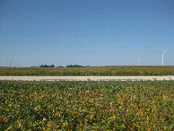 #2: View to the north