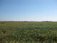 #4: View to the south