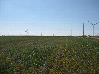 #5: View to the west