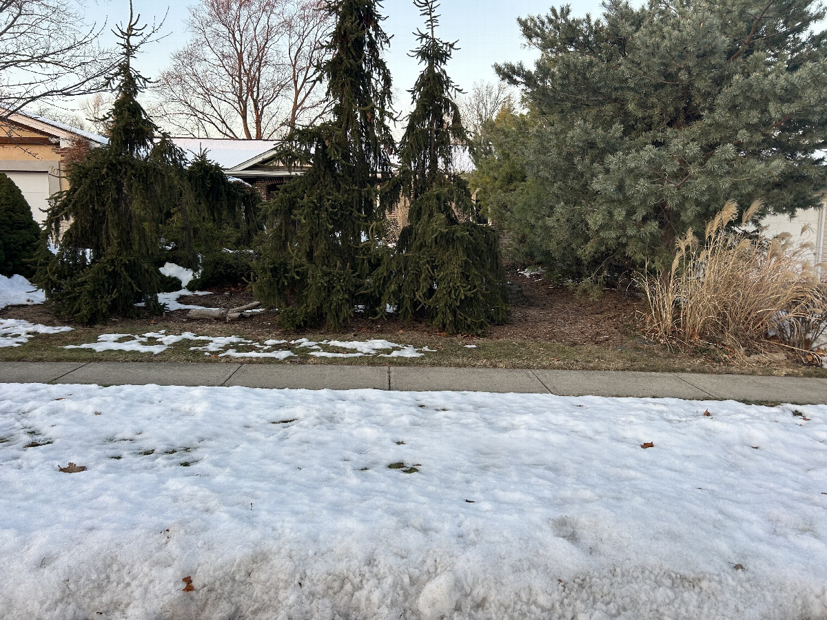 Looking north from the confluence toward house 70.