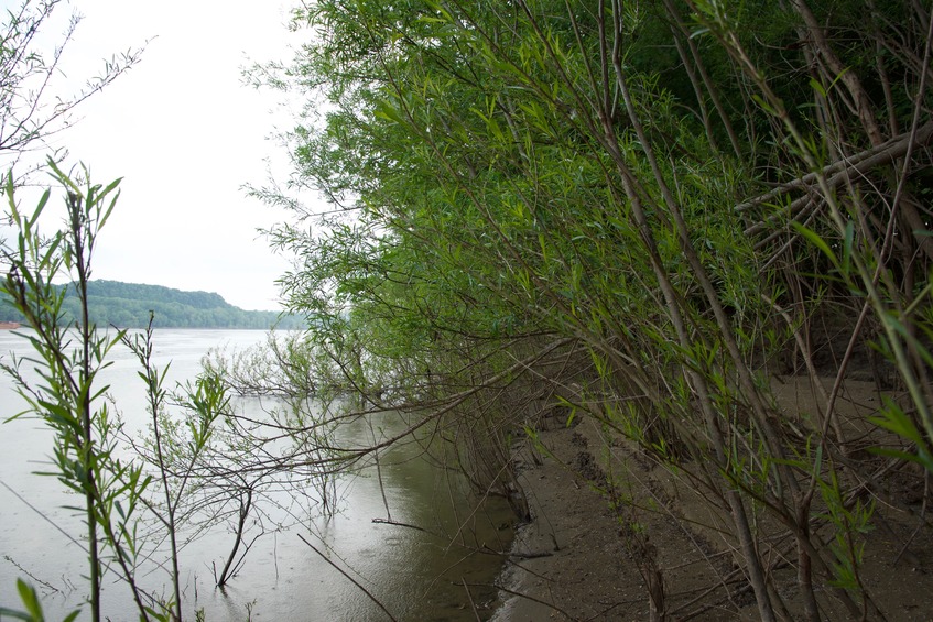 View West (along the north bank of the Ohio River)