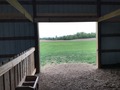 #9: Looking out the barn door straight at the confluence in the mid distance. 