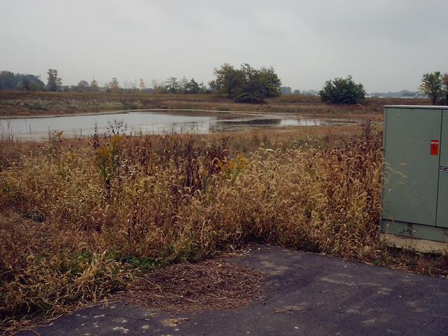 The Swamp of the Confluence, as seen from its Official Parking Space