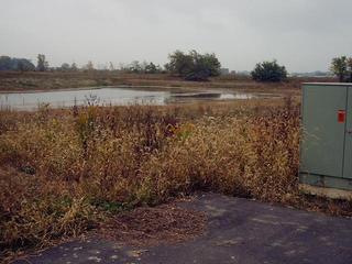 #1: The Swamp of the Confluence, as seen from its Official Parking Space