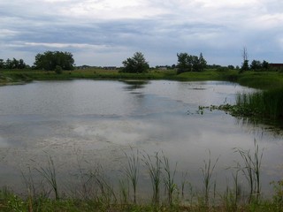 #1: The confluence is 70 meters south across this pond/lake.