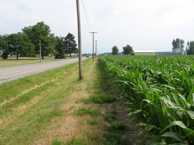 View south along Minnich Road.