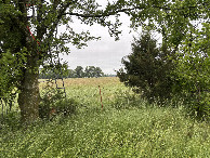 #10: Looking from Kansas into Oklahoma across the fence, just south of the confluence point. 