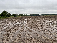 #2: A view to the north from the confluence point.