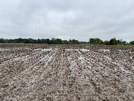 #3: A view to the east from the confluence point.
