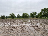 #4: A view to the south from the confluence point. 