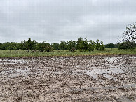 #5: A view to the west from the confluence point.