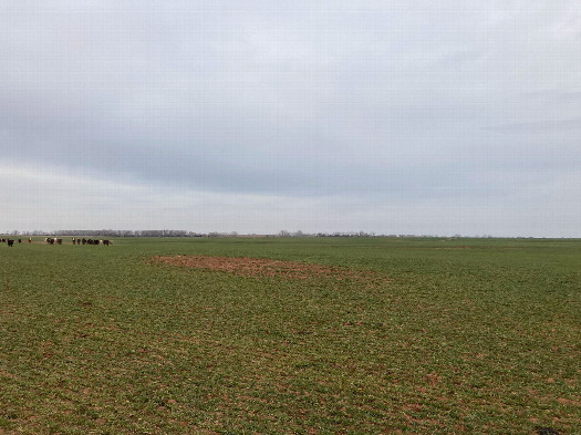 #1: Looking northeast toward 37N 98W, located beside the dirt patch in the middle of the photo