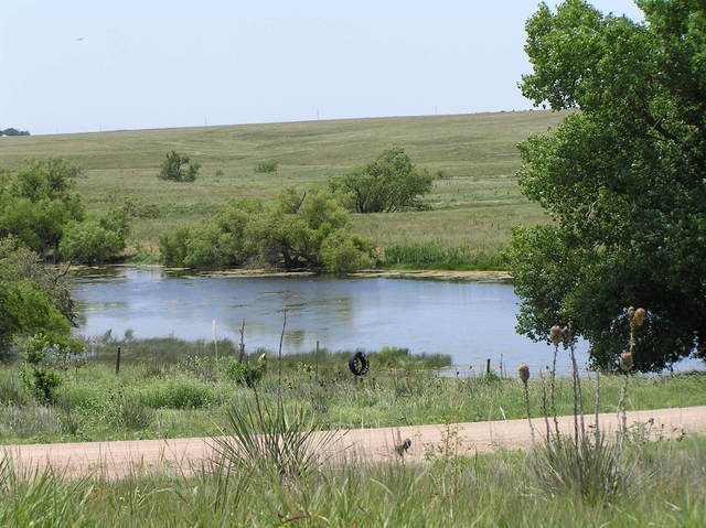 Oasis on the grasslands:  Nearest pond, 2 km north-northeast of confluence, looking back towards confluence.