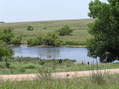 #8: Oasis on the grasslands:  Nearest pond, 2 km north-northeast of confluence, looking back towards confluence.