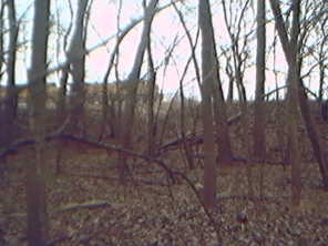 #1: Train stopped on tracks, looking from confluence