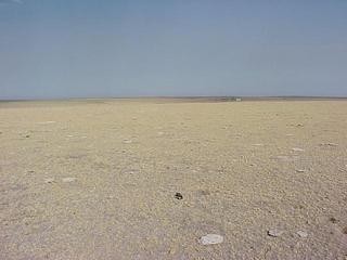 #1: Confluence site with GPS receiver on ground, looking west.