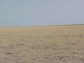 #4: View from the confluence to the north across the west Kansas Great Plains.
