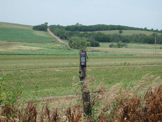 #1: Fence post at the confluence; state-line road in background