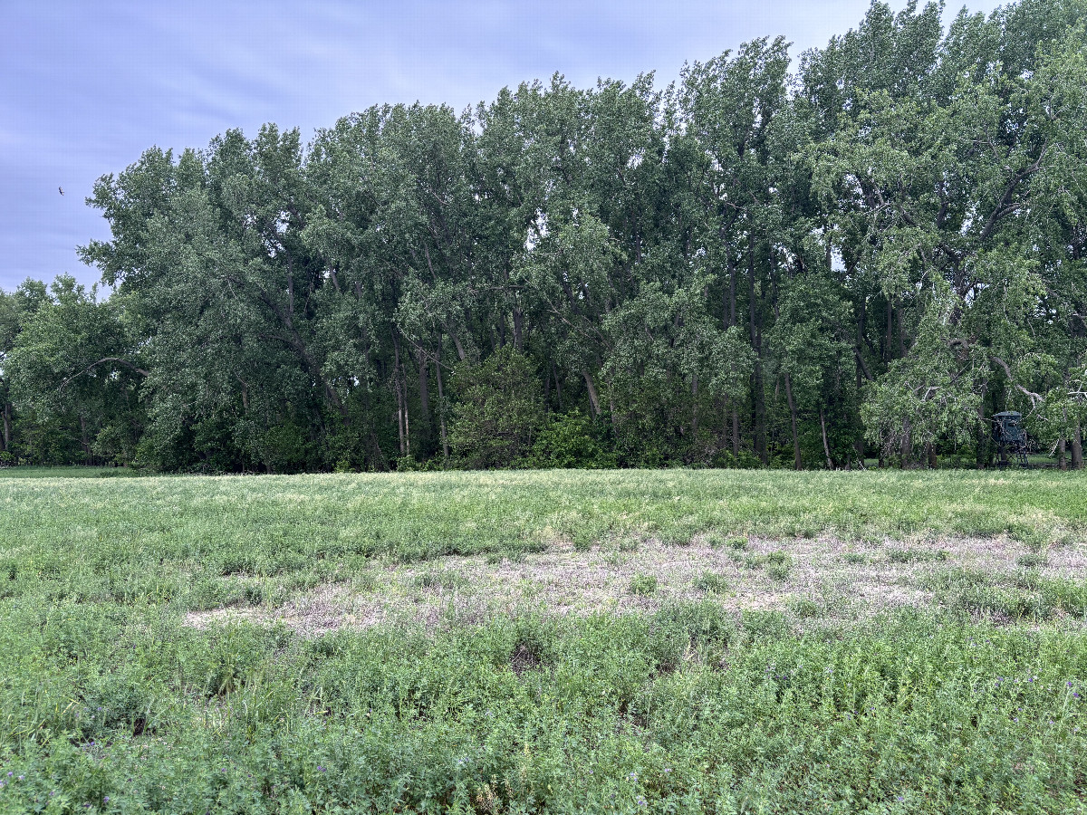 A view to the south from the confluence point.