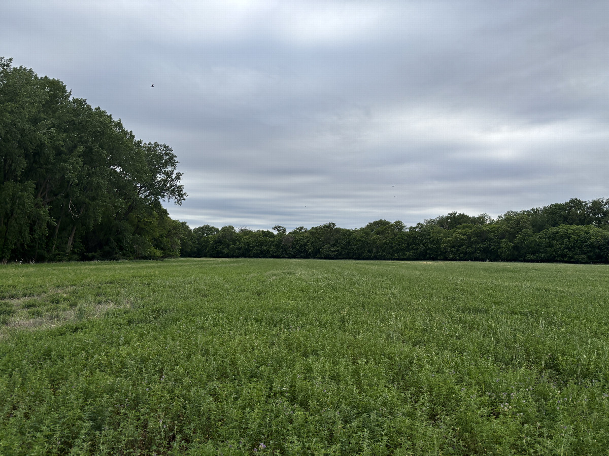A view to the west from the confluence point.