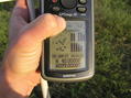 #7: GPS reading at the confluence site.