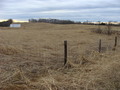 #8: Looking due south to 37N 86W from farm lane