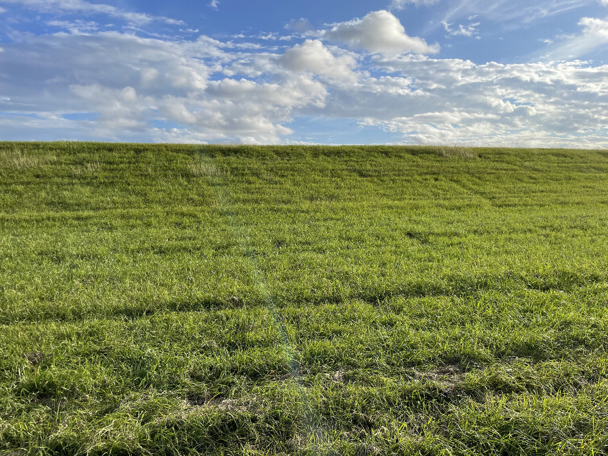 View to the south from the confluence