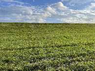 #7: View to the south from the confluence
