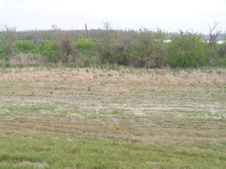 #1: The confluence of 30 North 90 West, down the slope from the levee, about 6 meters shy of the marsh, looking north.