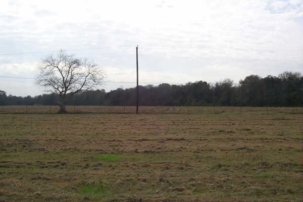 South view of Wilmer Rd and cane field.