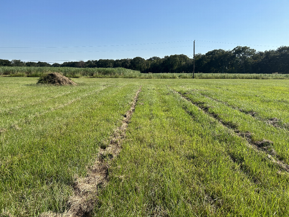 View to the south from the confluence. 