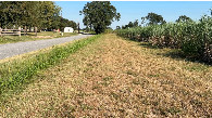 #10: Nearest road to the confluence, looking east. 