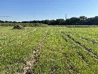 #4: View to the south from the confluence. 