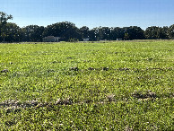 #5: View to the west from the confluence. 