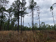 #2: Looking north from the confluence