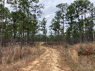 #7: The dirt track that passes very near 31N 93W