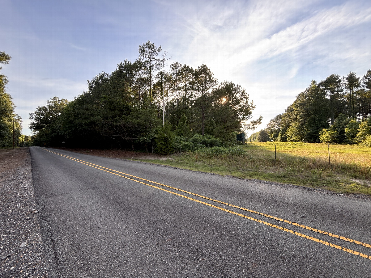 Nearest road to the confluence point, looking west. 