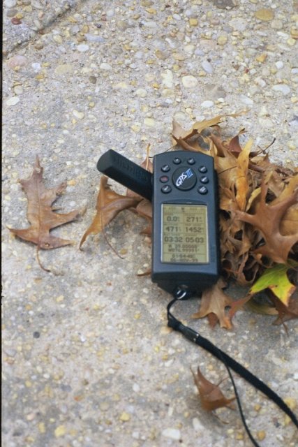 GPS photo with autumn leaves